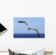 Gannet Flying Over The Water Wall Mural