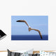 Gannet Flying Over The Water Wall Mural