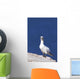 Gannet With An Attitude Staring At The Camera Wall Mural