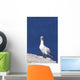 Gannet With An Attitude Staring At The Camera Wall Mural