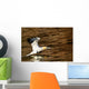 Gannet Flying Away From Water Level Wall Mural