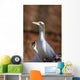 Two Gannets Interacting Wall Mural