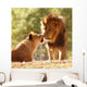 love Wall Mural