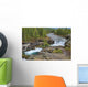 Waterfall In The Canadian Rocky Mountains Wall Mural