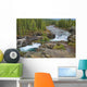 Waterfall In The Canadian Rocky Mountains Wall Mural