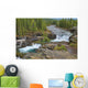 Waterfall In The Canadian Rocky Mountains Wall Mural