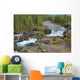 Waterfall In The Canadian Rocky Mountains Wall Mural