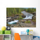 Waterfall In The Canadian Rocky Mountains Wall Mural