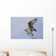 Osprey On A Tree Branch Wall Mural
