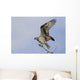 Osprey On A Tree Branch Wall Mural