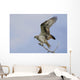 Osprey On A Tree Branch Wall Mural