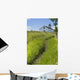 Little Church On The Canadian Prairies Wall Mural