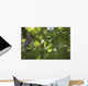 Cedar Waxwing On A Tree Branch Wall Mural