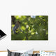 Cedar Waxwing On A Tree Branch Wall Mural