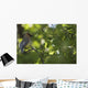 Cedar Waxwing On A Tree Branch Wall Mural