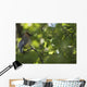 Cedar Waxwing On A Tree Branch Wall Mural