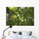 Cedar Waxwing On A Tree Branch Wall Mural