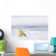 Polar Bear Being Curious, Sniffing And Exploring Territory For Food Wall Mural