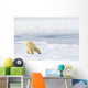 Polar Bear Being Curious, Sniffing And Exploring Territory For Food Wall Mural