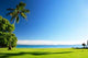 Caribbean Sea and Palms Wall Decal Design 2