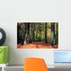 Vibrant Woodland Scene in Autumn Wall Mural