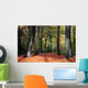 Vibrant Woodland Scene in Autumn Wall Mural