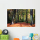 Vibrant Woodland Scene in Autumn Wall Mural