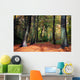 Vibrant Woodland Scene in Autumn Wall Mural