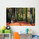 Vibrant Woodland Scene in Autumn Wall Mural