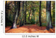 Vibrant Woodland Scene in Autumn Wall Mural