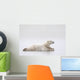 Polar Bear Laying On A Lake Of Ice Wall Mural
