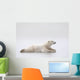 Polar Bear Laying On A Lake Of Ice Wall Mural