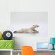 Polar Bear Laying On A Lake Of Ice Wall Mural