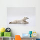 Polar Bear Laying On A Lake Of Ice Wall Mural