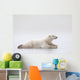 Polar Bear Laying On A Lake Of Ice Wall Mural