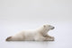 Polar Bear Laying On A Lake Of Ice Wall Mural