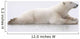 Polar Bear Laying On A Lake Of Ice Wall Mural