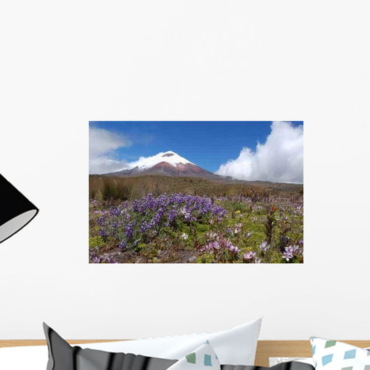 Cotopaxi Volcano Wall Decal Design 2