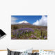Cotopaxi Volcano Wall Decal Design 2