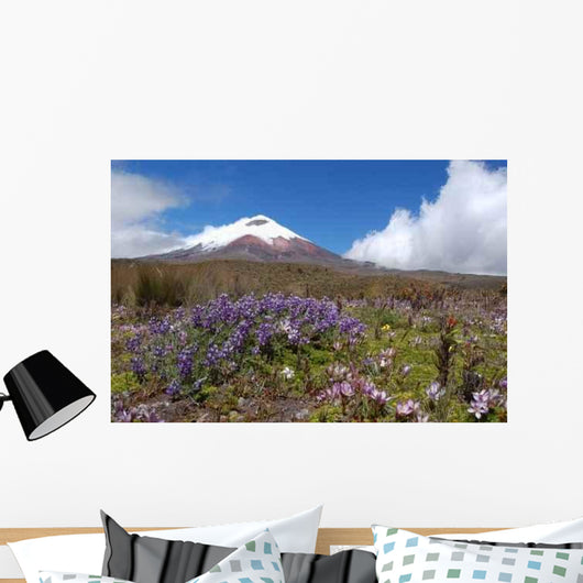 Cotopaxi Volcano Wall Decal Design 2