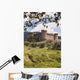15Th Century Castle Of The Duke Of Alburquerque Wall Mural