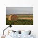 Hay Bales In A Field With Mountains In The Background At Sunrise Wall Mural
