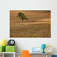 A Single Tree In A Field Wall Mural