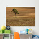 A Single Tree In A Field Wall Mural
