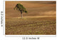 A Single Tree In A Field Wall Mural