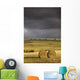 Hay Bales In A Field Under A Dark Cloudy Sky Wall Mural