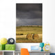 Hay Bales In A Field Under A Dark Cloudy Sky Wall Mural