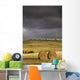 Hay Bales In A Field Under A Dark Cloudy Sky Wall Mural