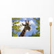 giraffe Wall Mural