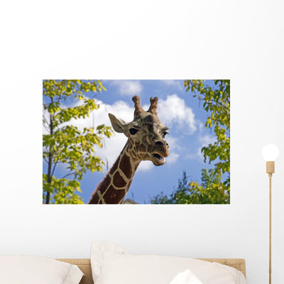 Giraffe Wall Mural shown on a wall